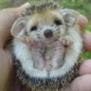 Meet your Posher, Beth